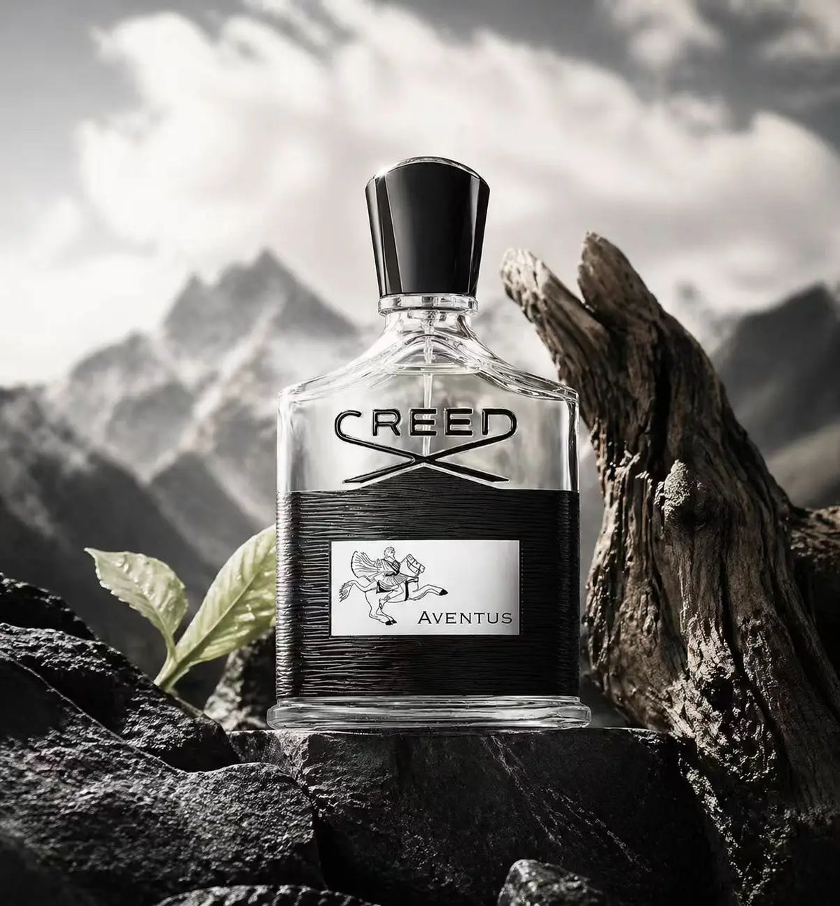 Aventus Legacy: Audacious & Timeless Eau de Parfum for Men
